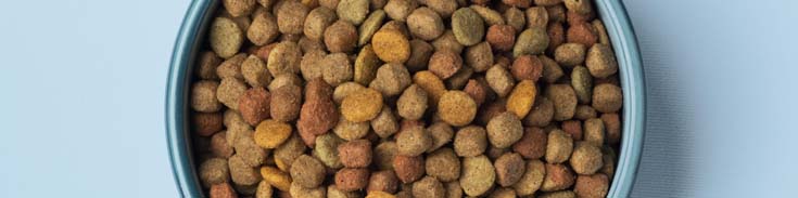 banner-veterinario